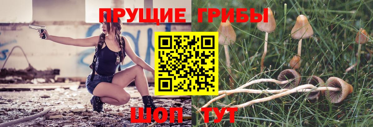 Псилоцибиновые грибы Psilocybine cubensis  где продают   Псилоцибиновые грибы Psilocybine cubensis  Нижний Новгород  Вход с VPN 
