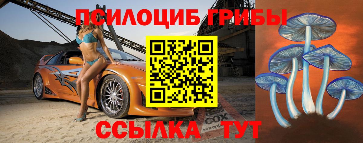 Псилоцибиновые грибы Psilocybe Нижний Новгород